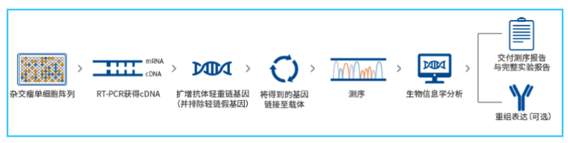 QQ截图20221010095521.png